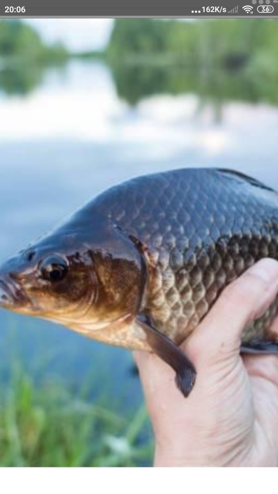 为什么涨水后钓鱼好钓,涨水之后鱼会变多吗