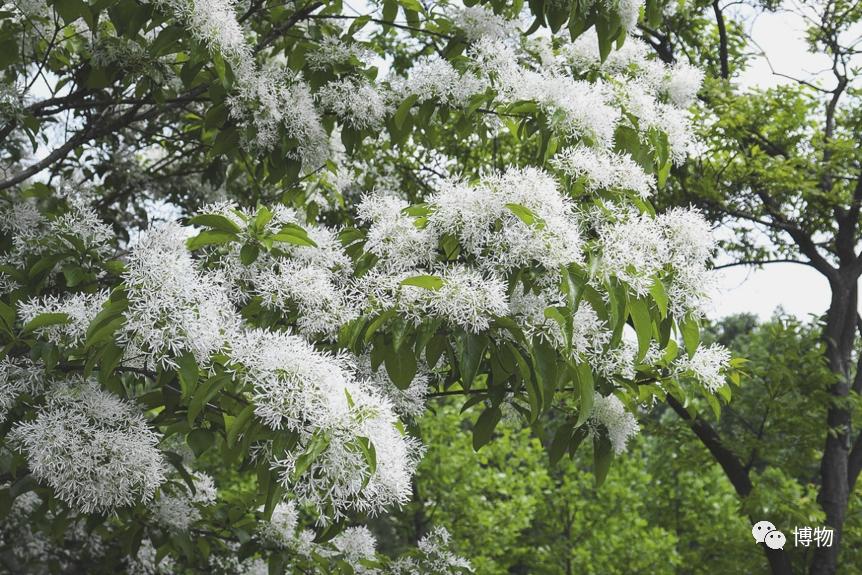 不孕不育到底是福报还是恶报,不孕不育的人后果