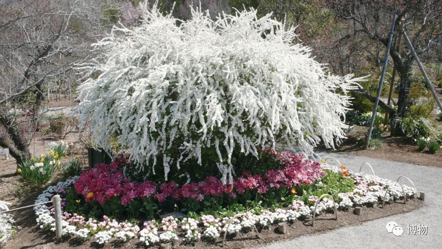 不孕不育到底是福报还是恶报,不孕不育的人后果