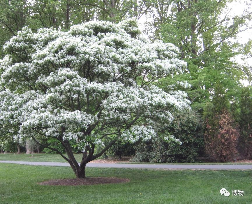 不孕不育到底是福报还是恶报,不孕不育的人后果