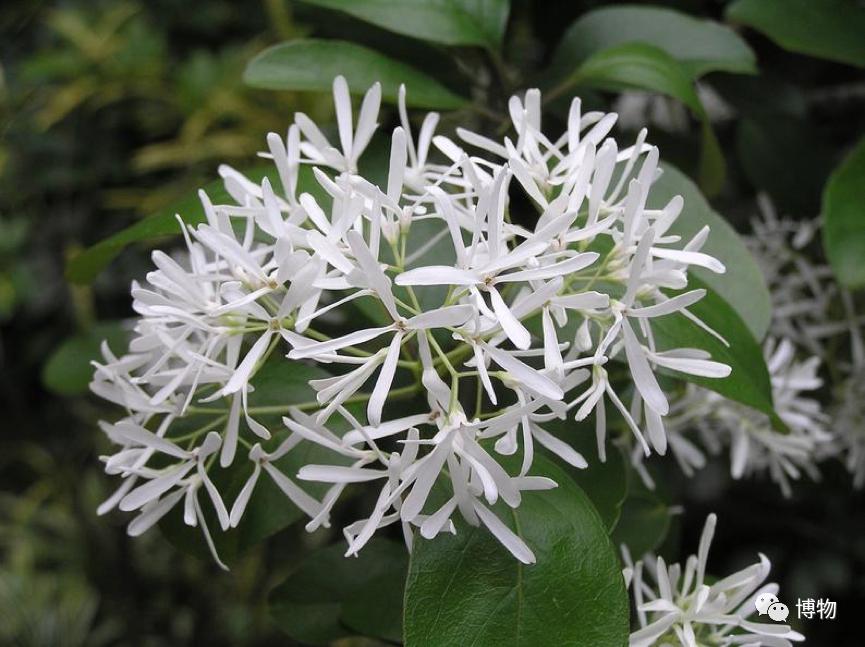 不孕不育到底是福报还是恶报,不孕不育的人后果