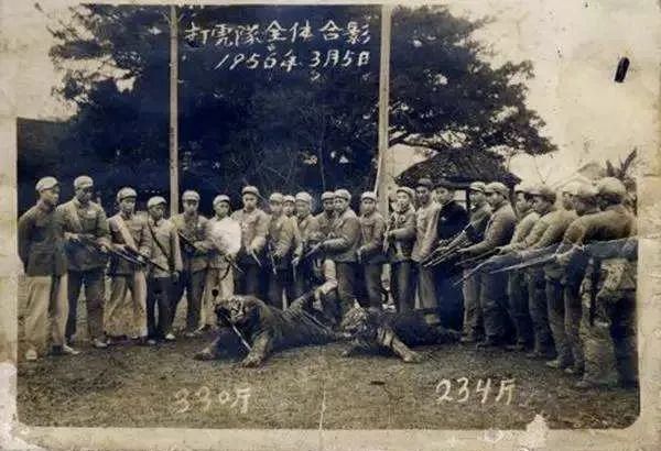 复仇者联盟原地解散,现在复仇者联盟是不是解散