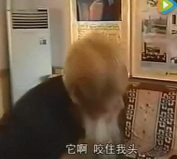 复仇者联盟原地解散,现在复仇者联盟是不是解散