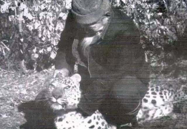 复仇者联盟原地解散,现在复仇者联盟是不是解散