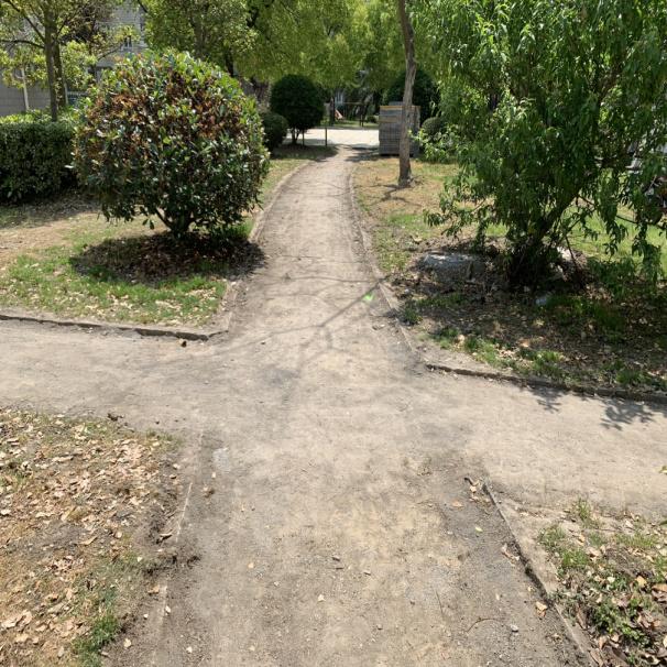 切实做到解民忧暖民心,切实为民服务解难题