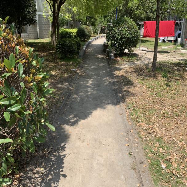 切实做到解民忧暖民心,切实为民服务解难题