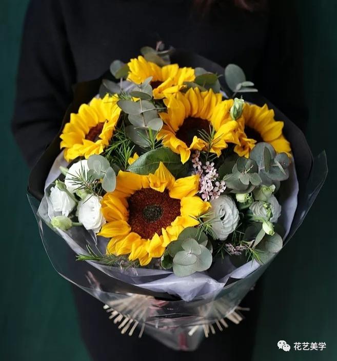 节日丨父亲节，除了向日葵还能送啥花