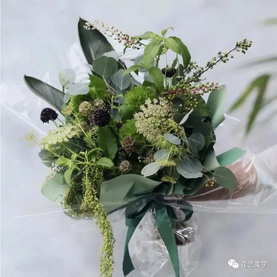 节日丨父亲节，除了向日葵还能送啥花