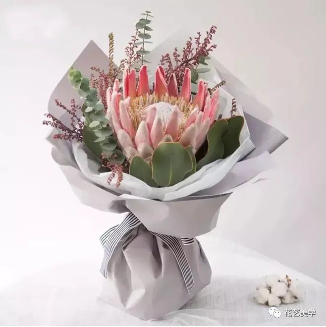 节日丨父亲节，除了向日葵还能送啥花