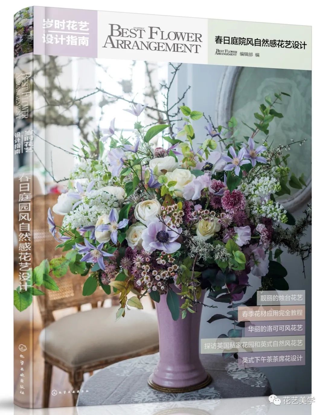 节日丨父亲节，除了向日葵还能送啥花