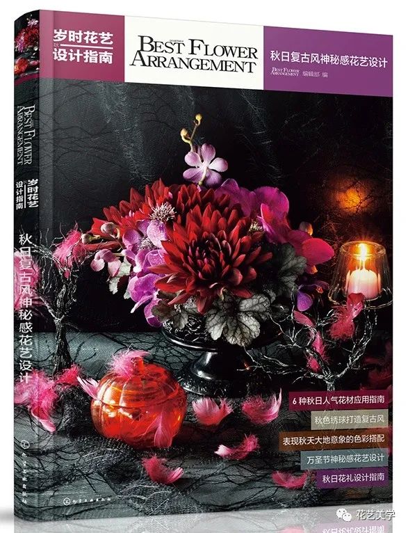 节日丨父亲节，除了向日葵还能送啥花