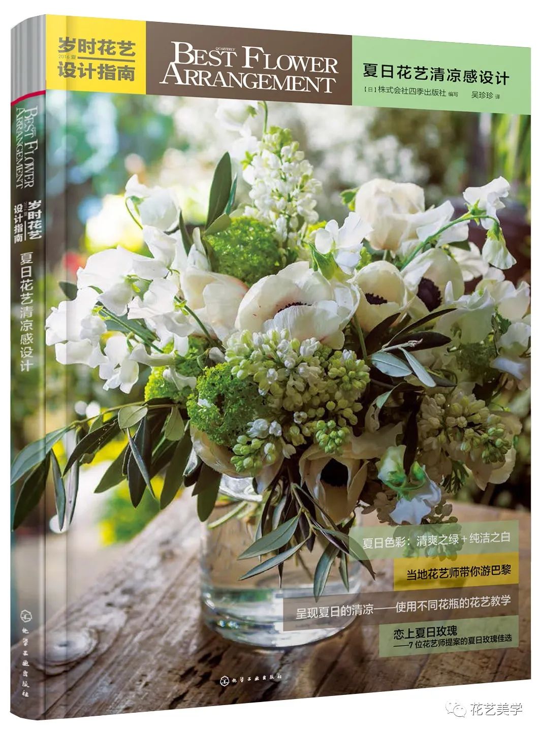 节日丨父亲节，除了向日葵还能送啥花