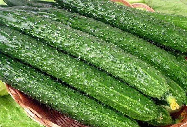 夏至养生重在健脾,夏至节气该如何解暑和养生