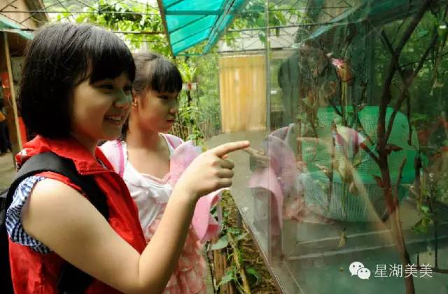 好玩的端午游活动,好玩的端午假期