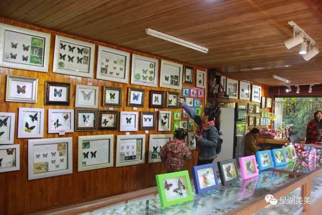 好玩的端午游活动,好玩的端午假期