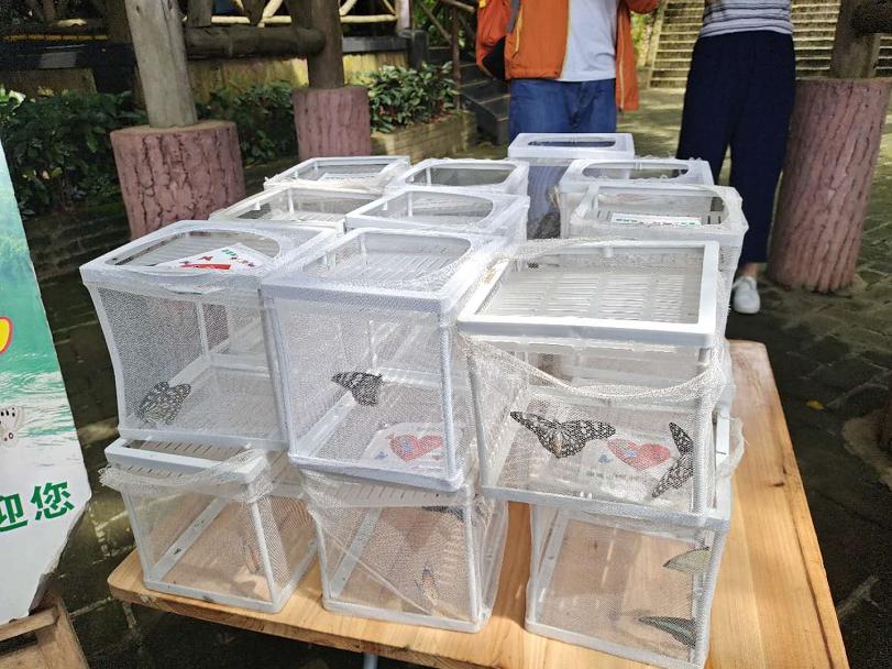 好玩的端午游活动,好玩的端午假期