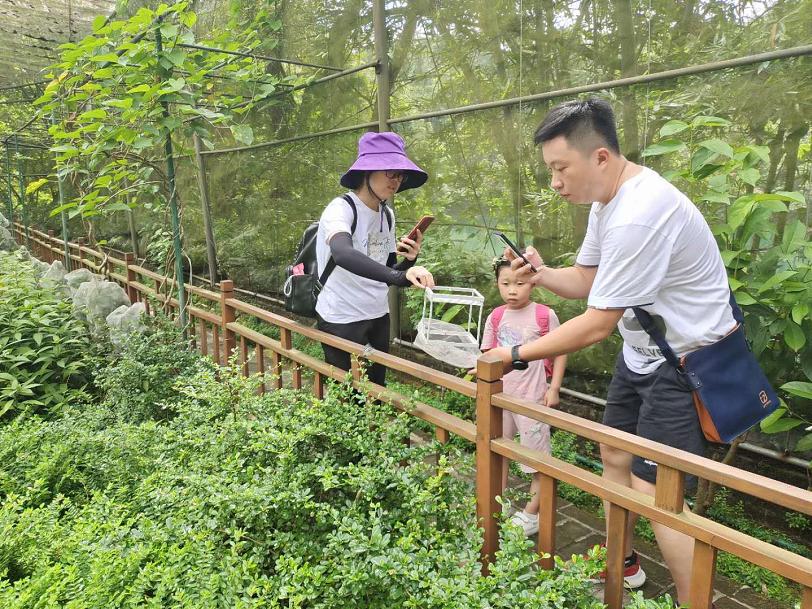 好玩的端午游活动,好玩的端午假期