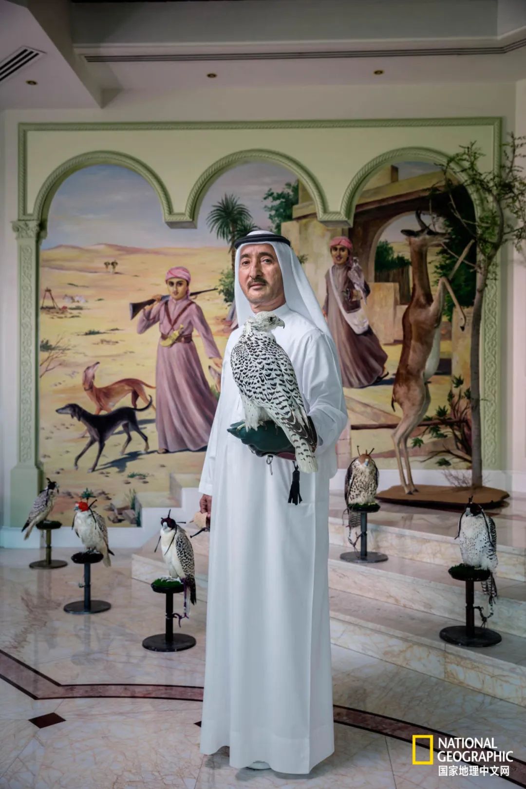 迪拜酋长养的动物,迪拜酋长养的土豪鸟