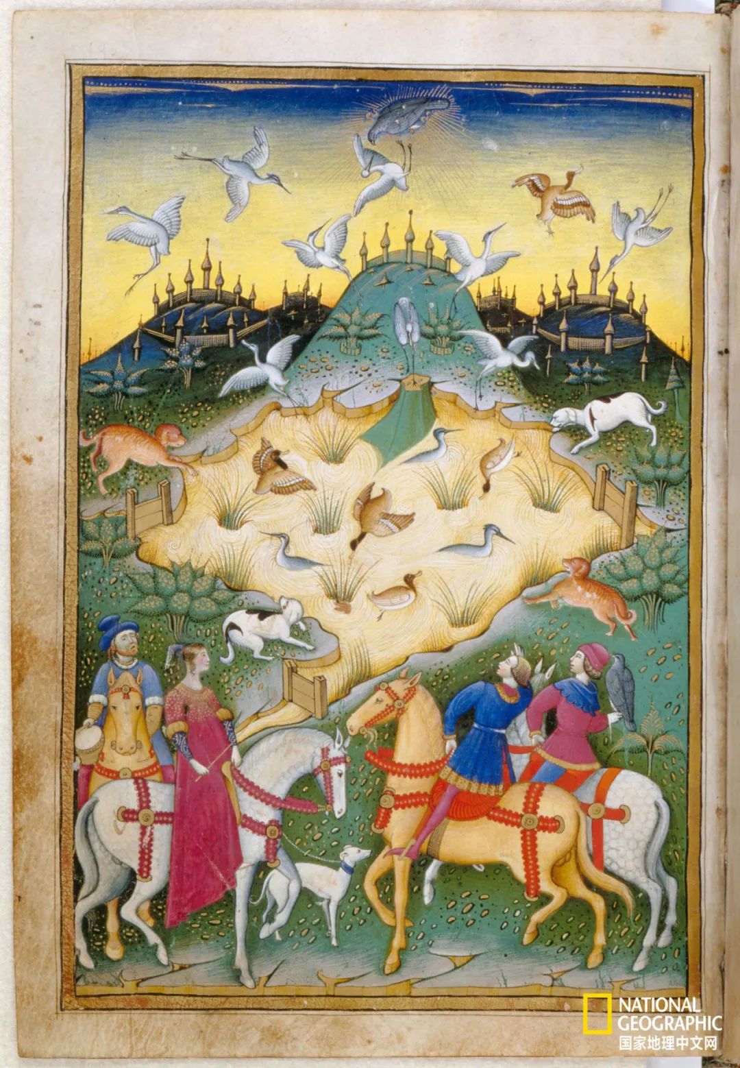 迪拜酋长养的动物,迪拜酋长养的土豪鸟