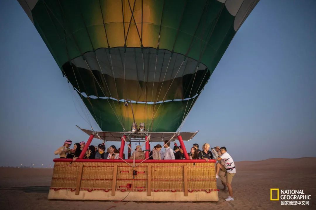 迪拜酋长养的动物,迪拜酋长养的土豪鸟