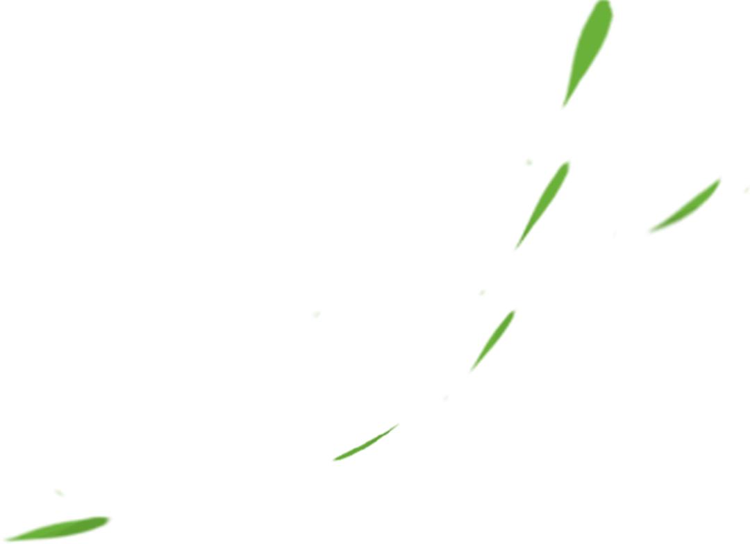 绝了！这个闵行人在薄如蝉翼的叶脉上作画