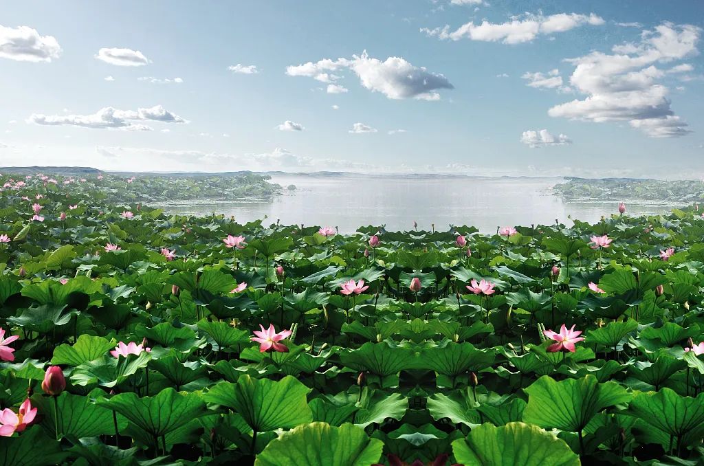 夏至英文介绍,夏至的英文怎么说