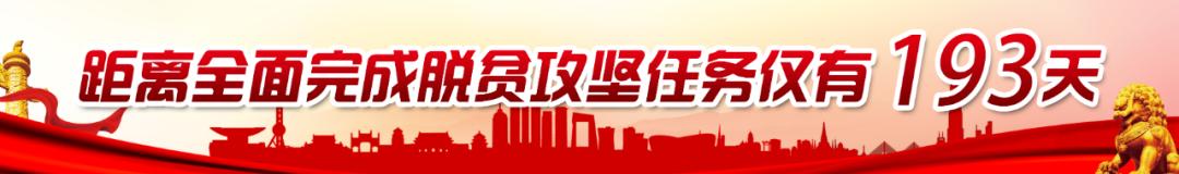 金昌2022年体育中考,金昌体育中考是什么时候