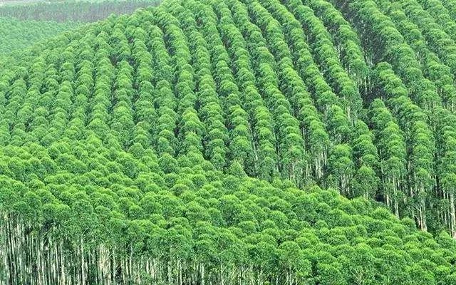 口臭的解决方法胃不好,口臭可能是你的胃出了问题