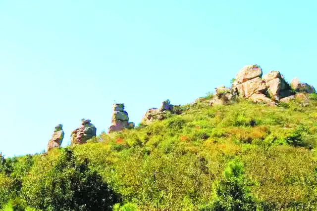 庐州石头传奇：“石公、石婆、石小姐”、“棋盘石”、“霸王石”……