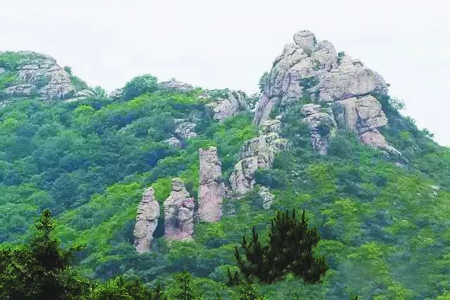 庐州石头传奇：“石公、石婆、石小姐”、“棋盘石”、“霸王石”……