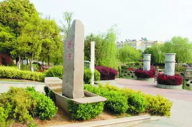 庐州石头传奇：“石公、石婆、石小姐”、“棋盘石”、“霸王石”……