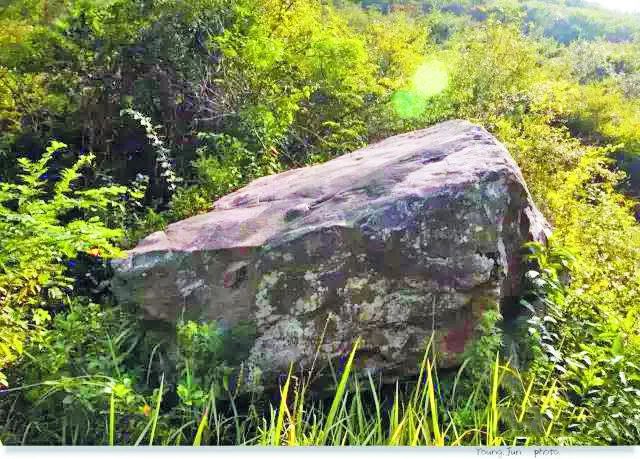 庐州石头传奇：“石公、石婆、石小姐”、“棋盘石”、“霸王石”……