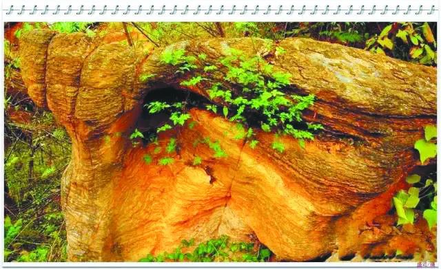 庐州石头传奇：“石公、石婆、石小姐”、“棋盘石”、“霸王石”……