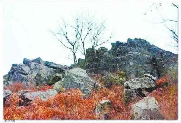 庐州石头传奇：“石公、石婆、石小姐”、“棋盘石”、“霸王石”……