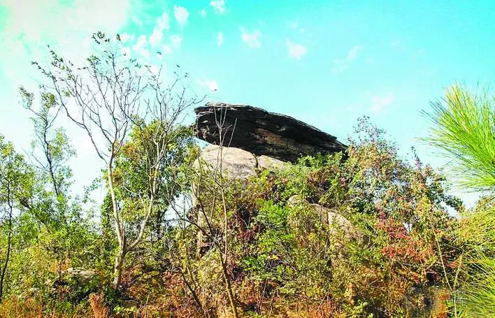 庐州石头传奇：“石公、石婆、石小姐”、“棋盘石”、“霸王石”……