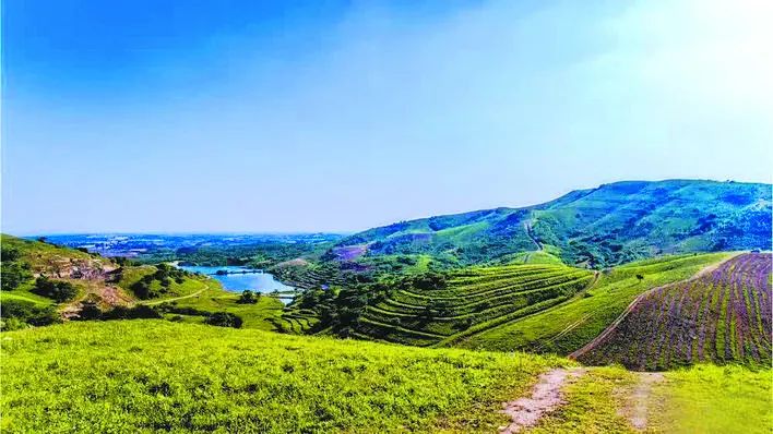 庐州石头传奇：“石公、石婆、石小姐”、“棋盘石”、“霸王石”……