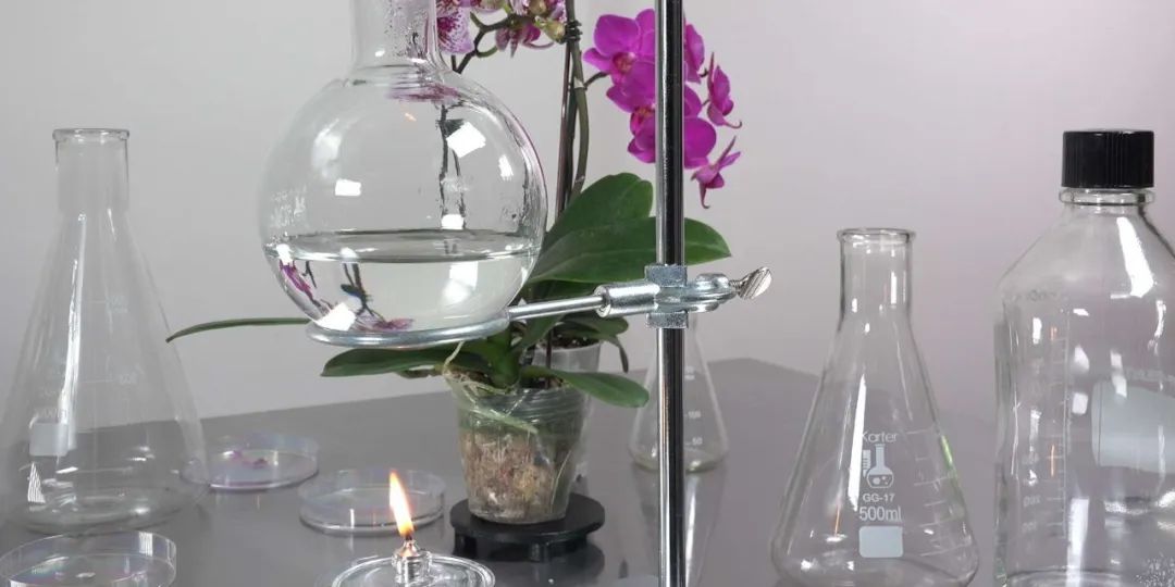 2022年对未来的自己有什么想说的,2020有没有什么对未来想说的