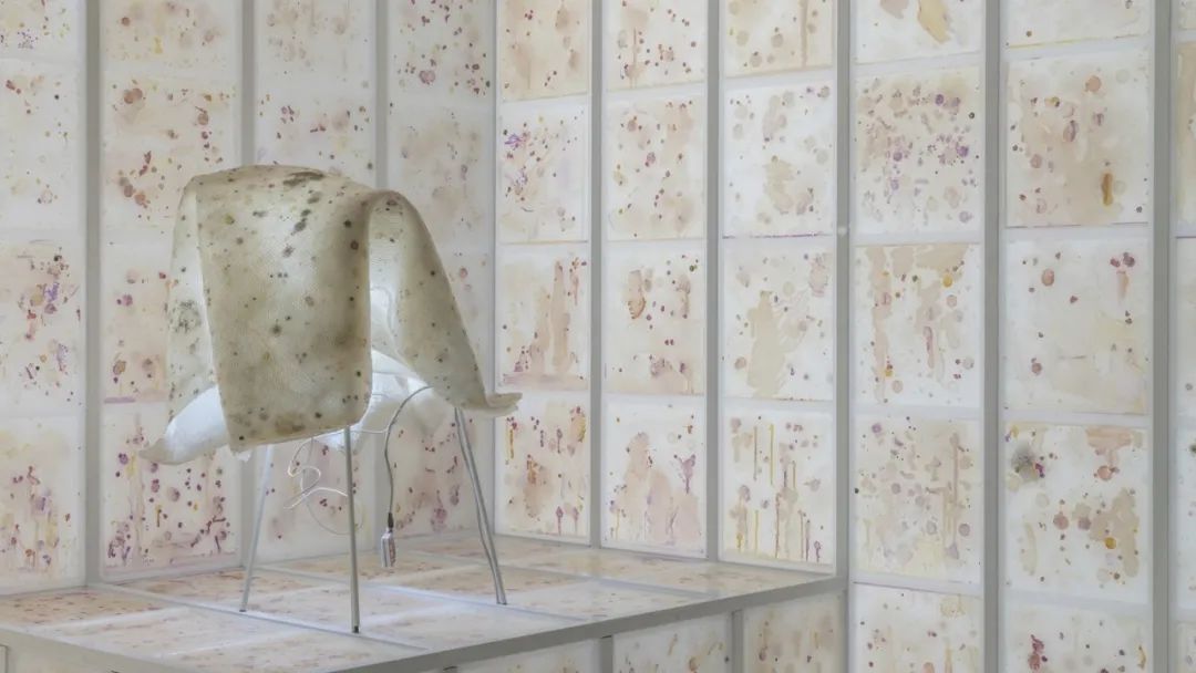 2022年对未来的自己有什么想说的,2020有没有什么对未来想说的