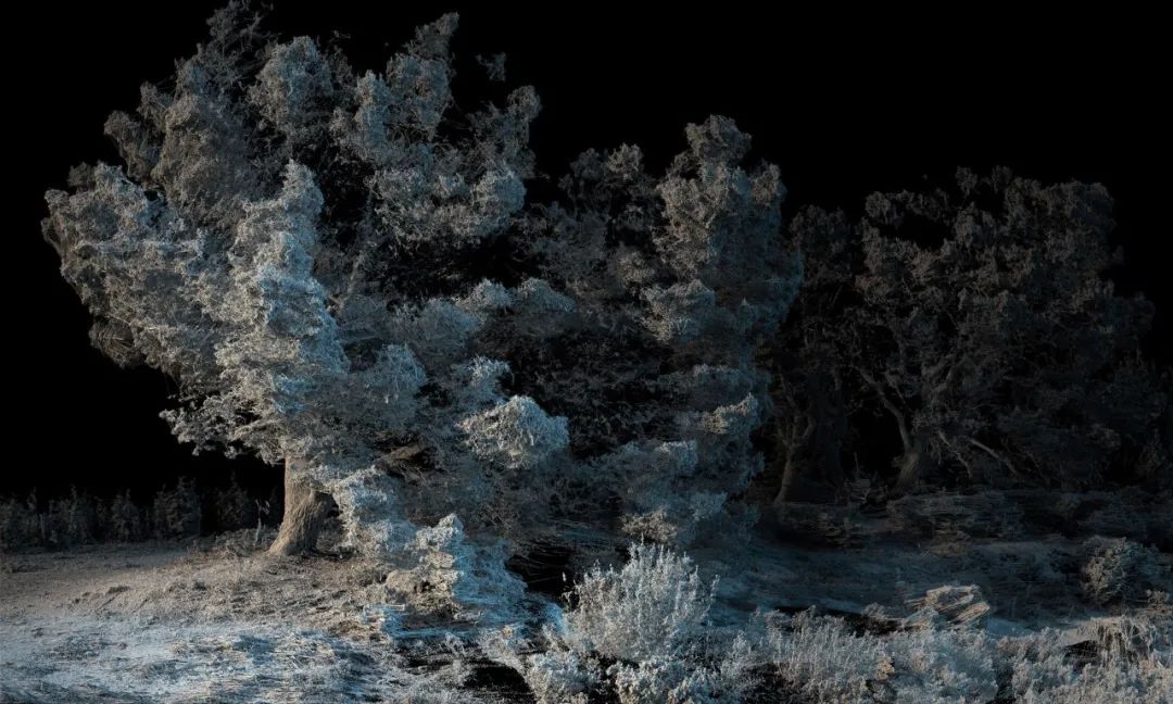 2022年对未来的自己有什么想说的,2020有没有什么对未来想说的