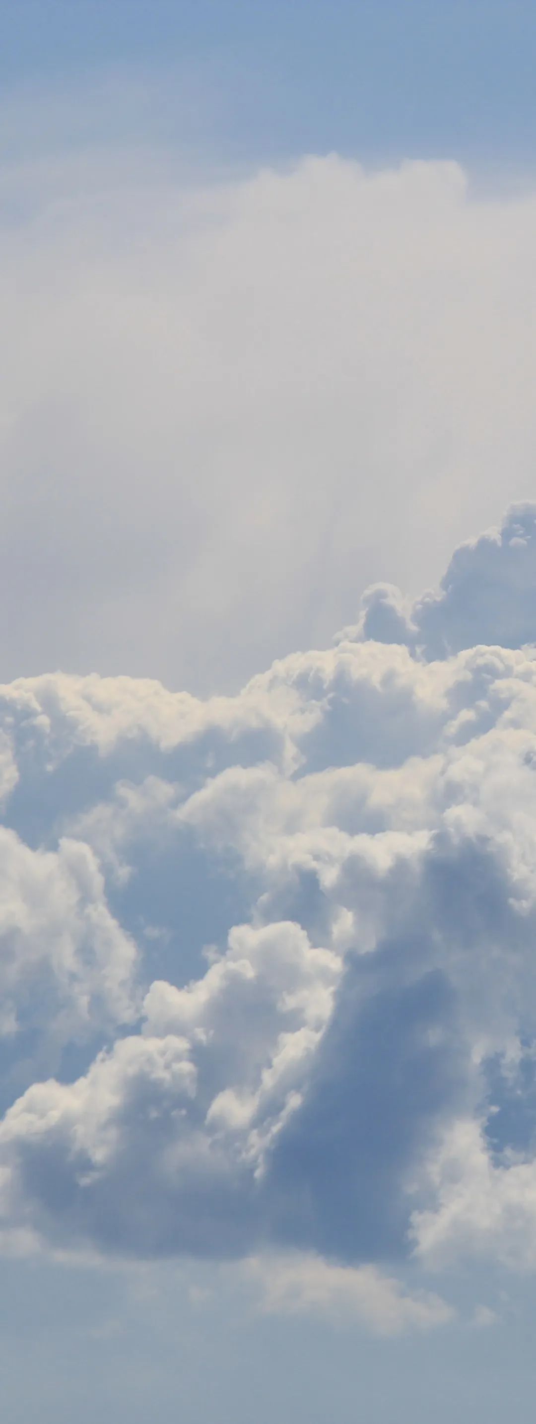 向阳而生活动宣传视频,向阳而生嘉年华出场顺序