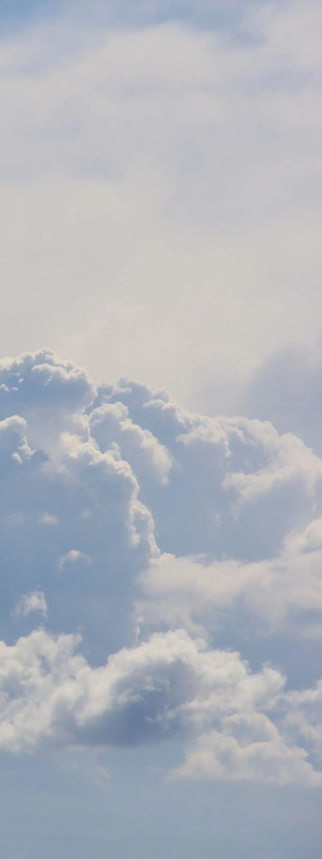 向阳而生活动宣传视频,向阳而生嘉年华出场顺序