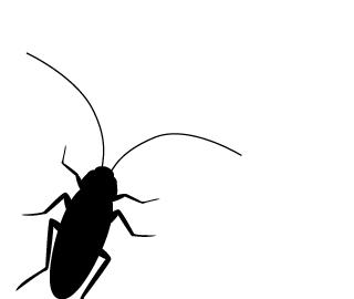 让蟑螂来一只死一窝的方法,蟑螂克星蟑螂窝