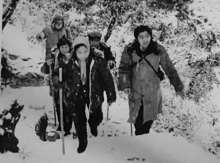 暴露年龄的5部经典剧你看过几部,暴露年龄的十部剧看过的都老了