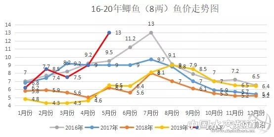 鲫鱼出血病最快的治疗方法,鲫鱼行情最新消息