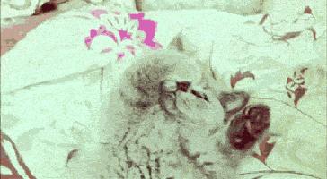 想要消痘痘不能吃什么,爆痘怎么快速消下去不留印子