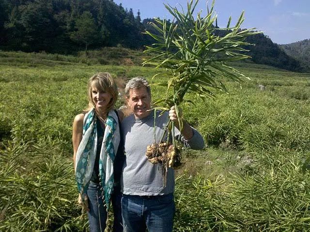 拯救食欲的夏天,夏日食欲拯救以辣开胃