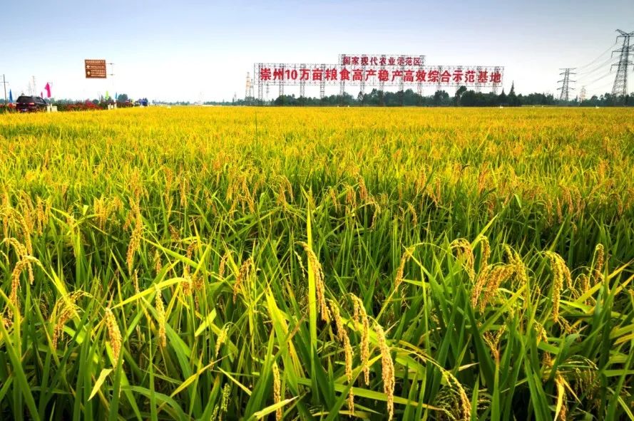 一家大型民营企业的兴衰风雨路,一家民营企业的经历