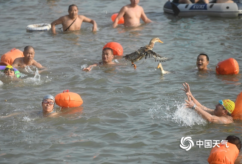 一组图解锁更多端午习俗不仅仅是吃粽子赛龙舟