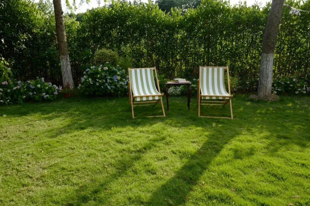 石康作品青春三部曲,石康谈奋斗