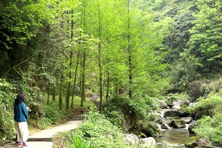 大邑周边带孩子玩的宝藏地,大邑宝藏登山地